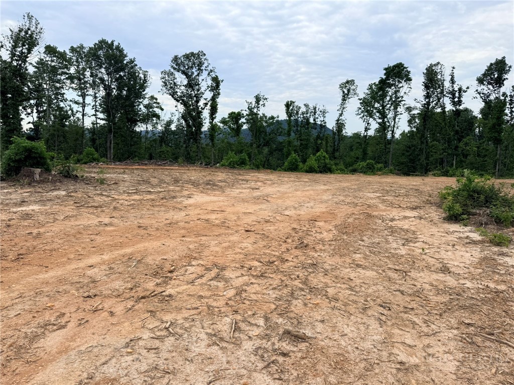 Tbd N Marley Ford Road Property Photo 15