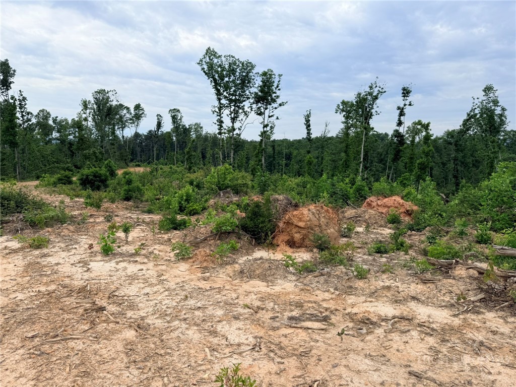 Tbd N Marley Ford Road Property Photo 16