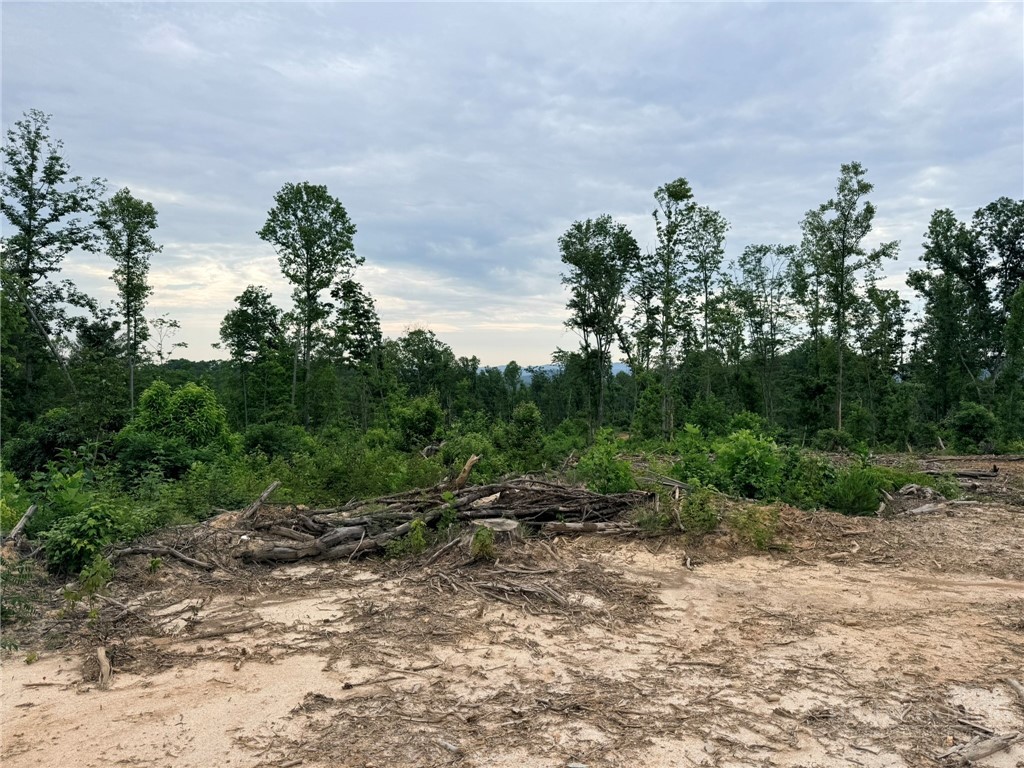 Tbd N Marley Ford Road Property Photo 17