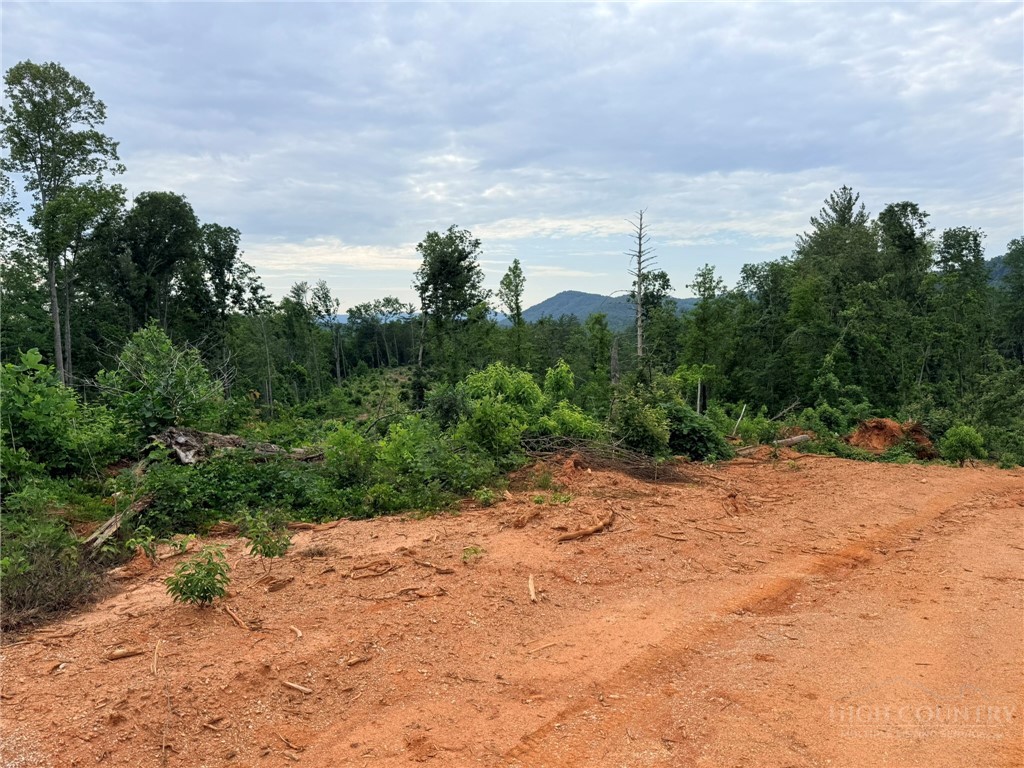 Tbd N Marley Ford Road Property Photo 18