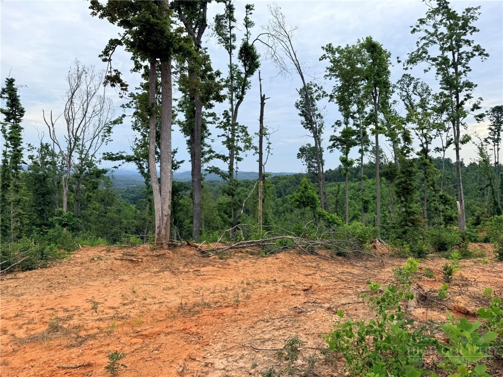Tbd N Marley Ford Road Property Photo 20