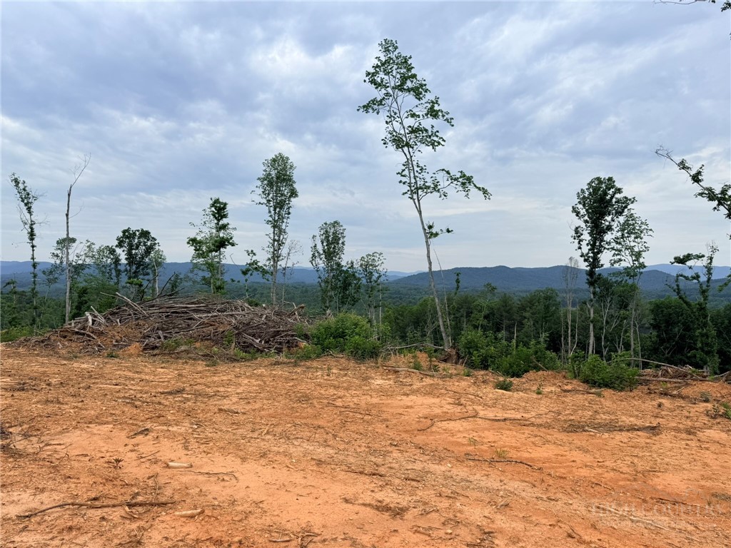 Tbd N Marley Ford Road Property Photo 21