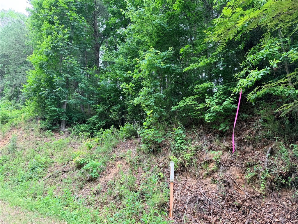 Tbd N Marley Ford Road Property Photo 23