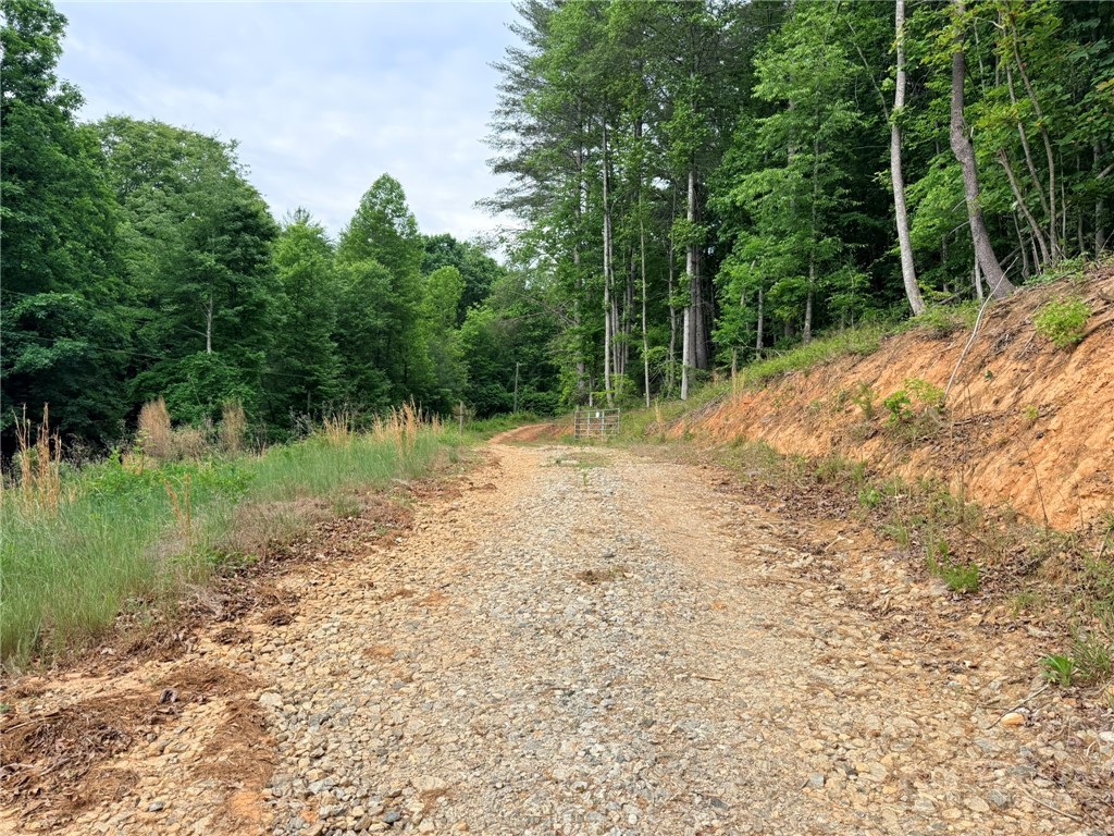Tbd N Marley Ford Road Property Photo 25