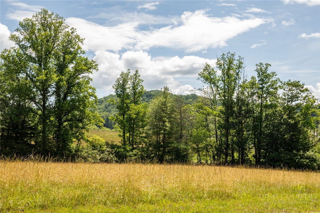 Tbd Shingle Gap Road Property Photo 2