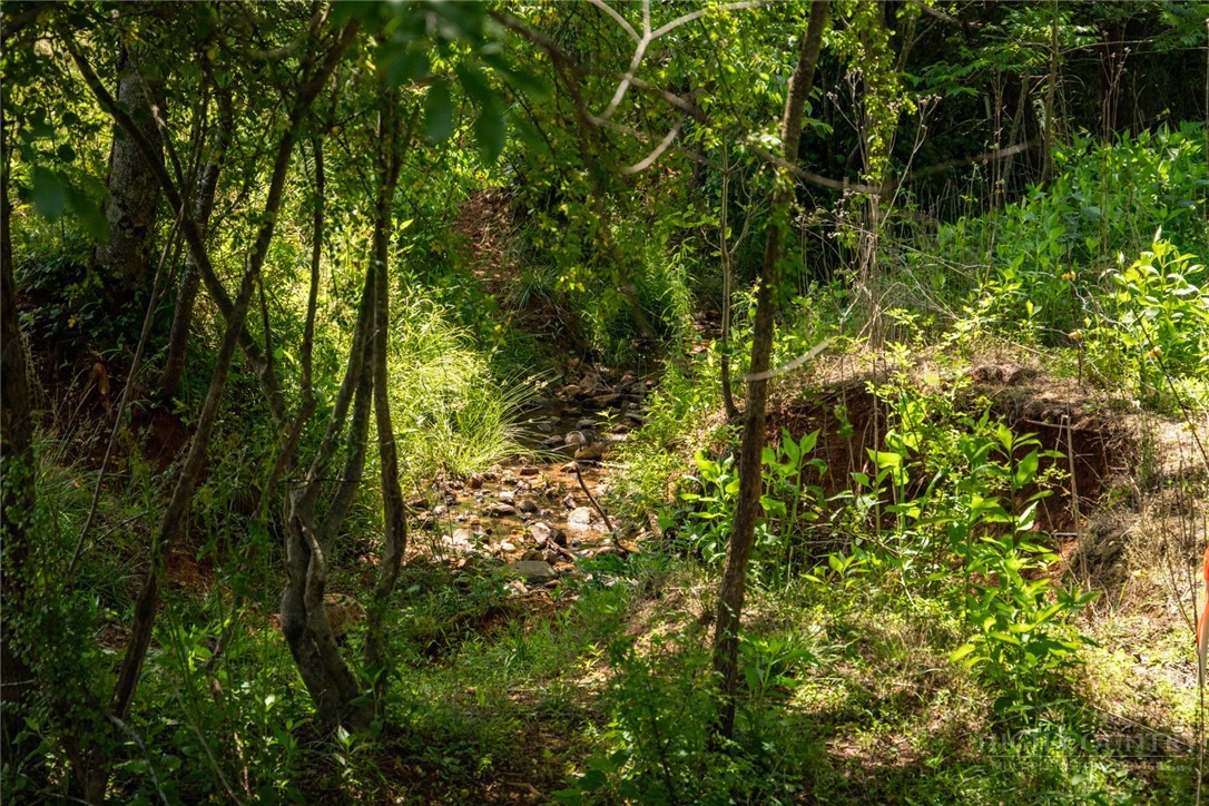 Tbd Shingle Gap Road Property Photo 3
