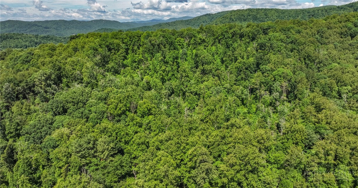Tbd Shingle Gap Road Property Photo 4
