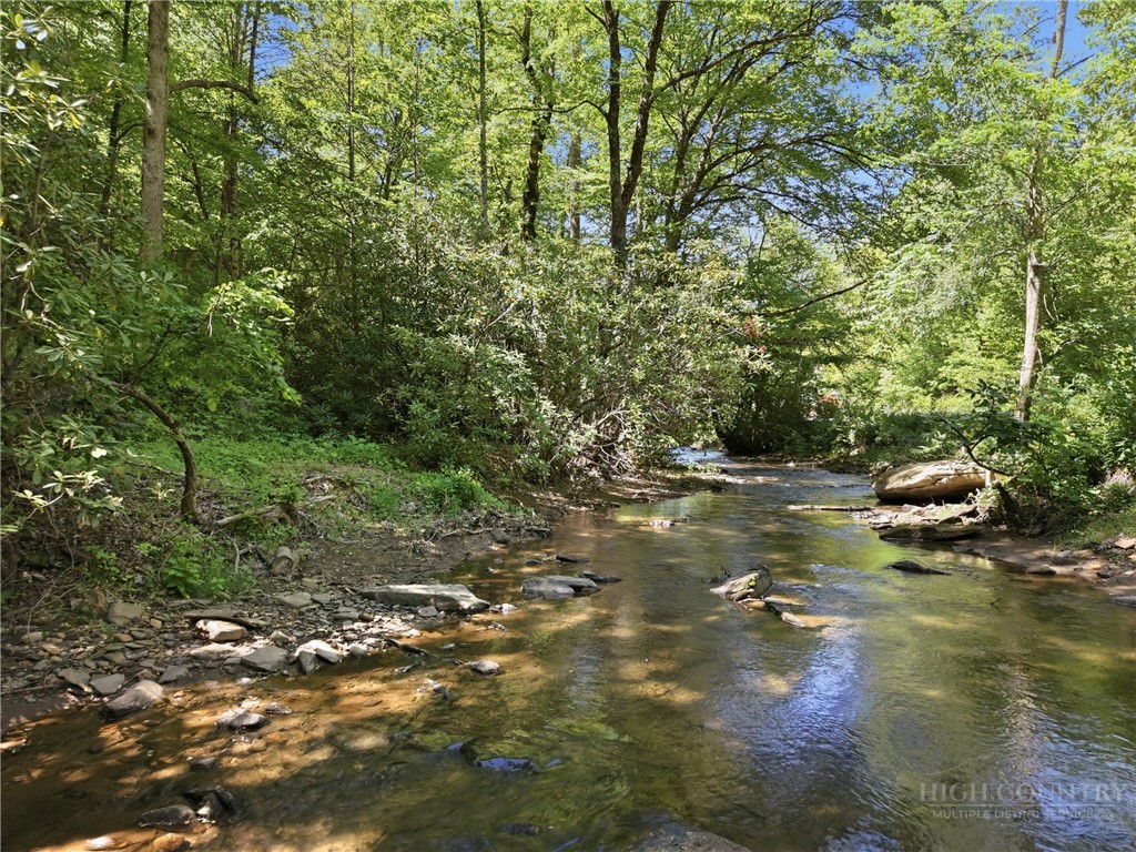 2146 Nc Highway 194 Highway Property Photo 10