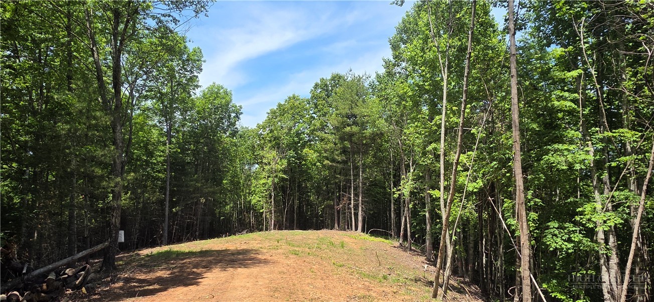 439 Howell Road Property Photo 1