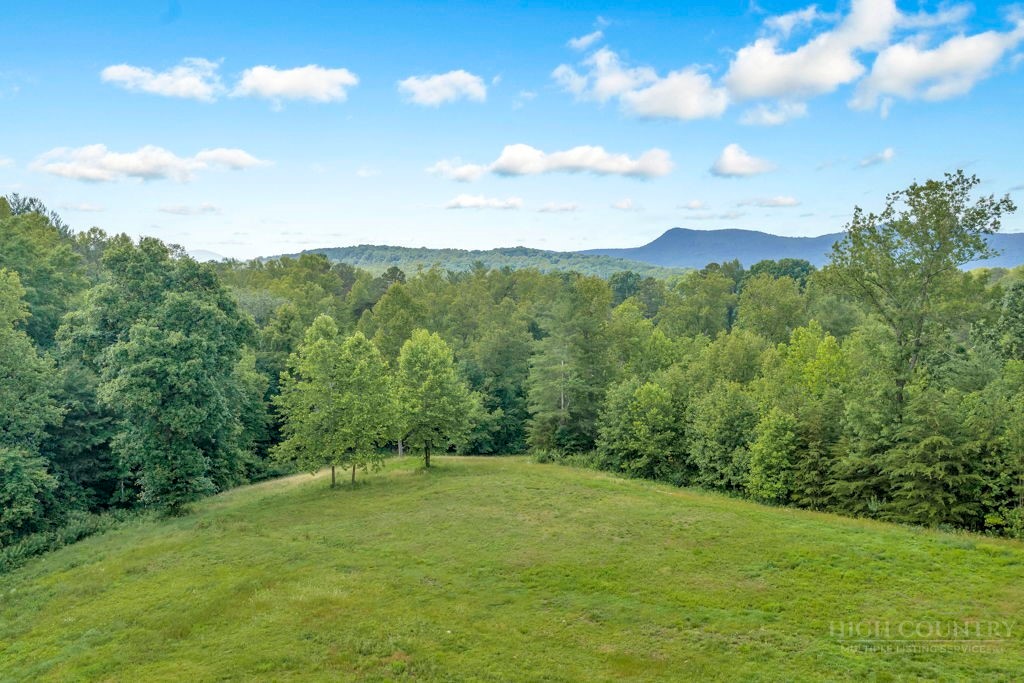 374 Deer Lane Property Photo 29
