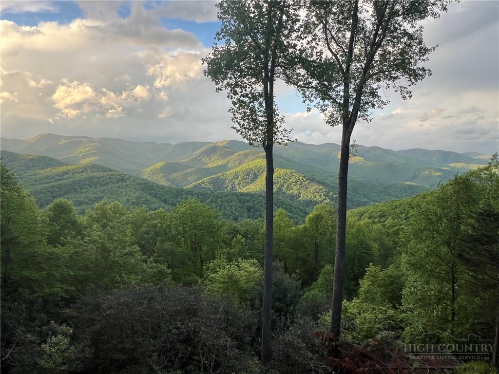 2038 Bell Mountain Road Property Photo 8
