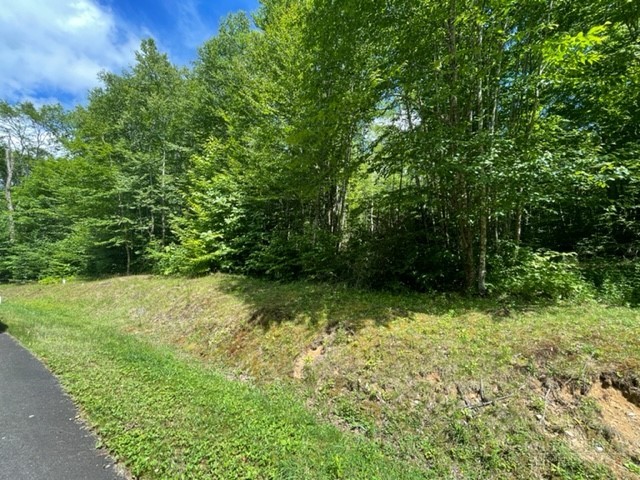 Lot 42 Linville River Lane Property Photo 2