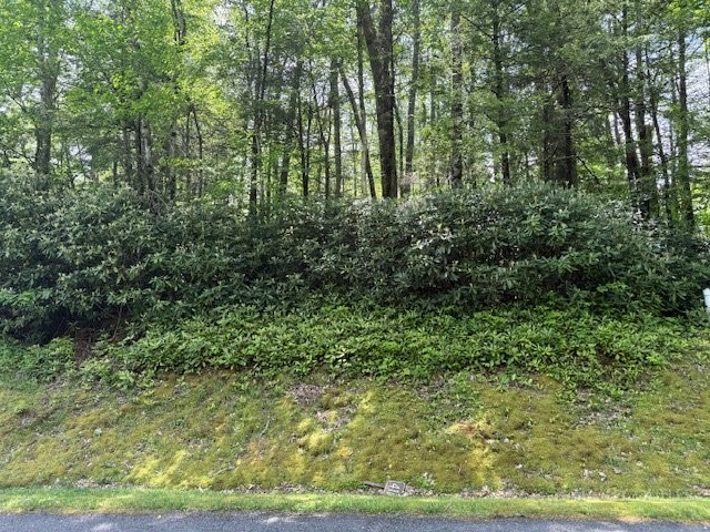 Lot 42 Linville River Lane Property Photo 3