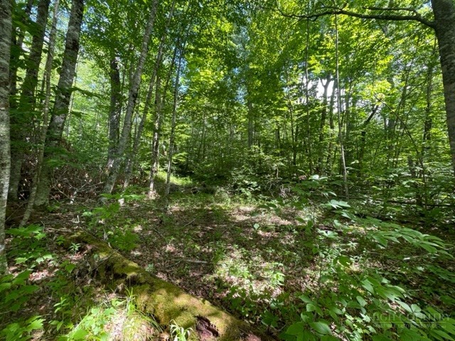 Lot 42 Linville River Lane Property Photo 5