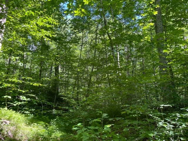 Lot 42 Linville River Lane Property Photo 6