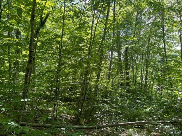 Lot 42 Linville River Lane Property Photo 7