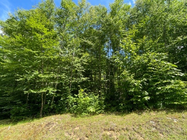Lot 42 Linville River Lane Property Photo 8