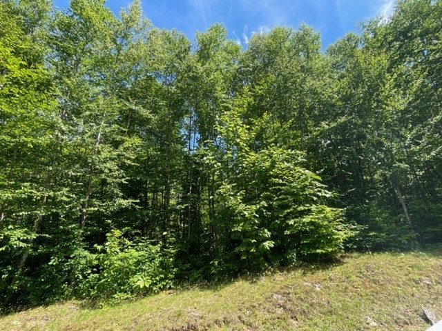 Lot 42 Linville River Lane Property Photo 9