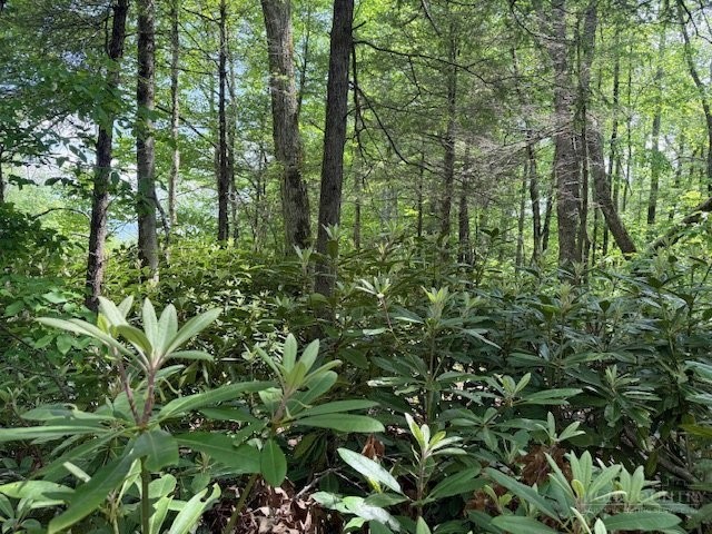 Lot 42 Linville River Lane Property Photo 12