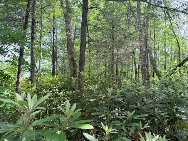 Lot 42 Linville River Lane Property Photo 13