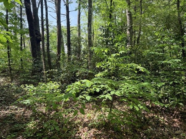 Lot 42 Linville River Lane Property Photo 14