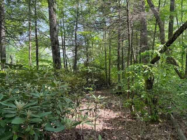 Lot 42 Linville River Lane Property Photo 15