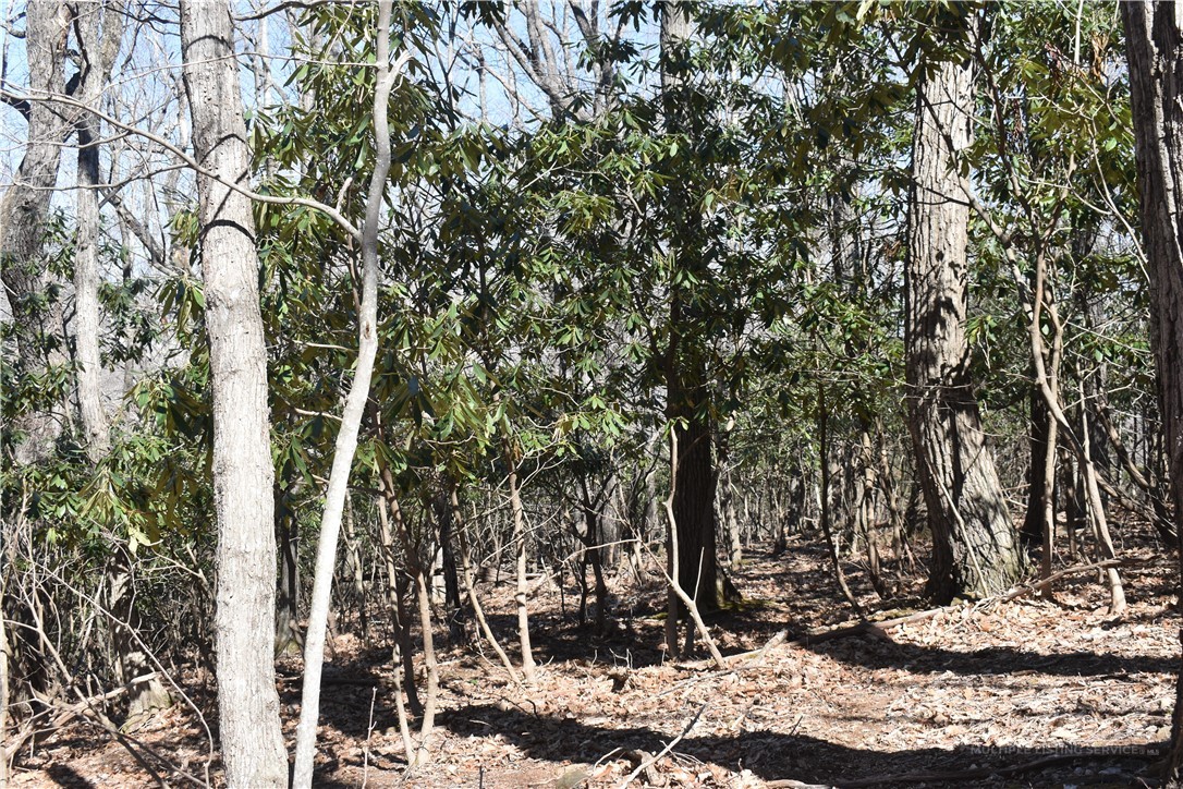 Lot 31 Hillside Lane Property Photo 1