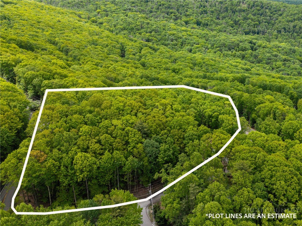 100 Teaberry Trail Property Photo 29