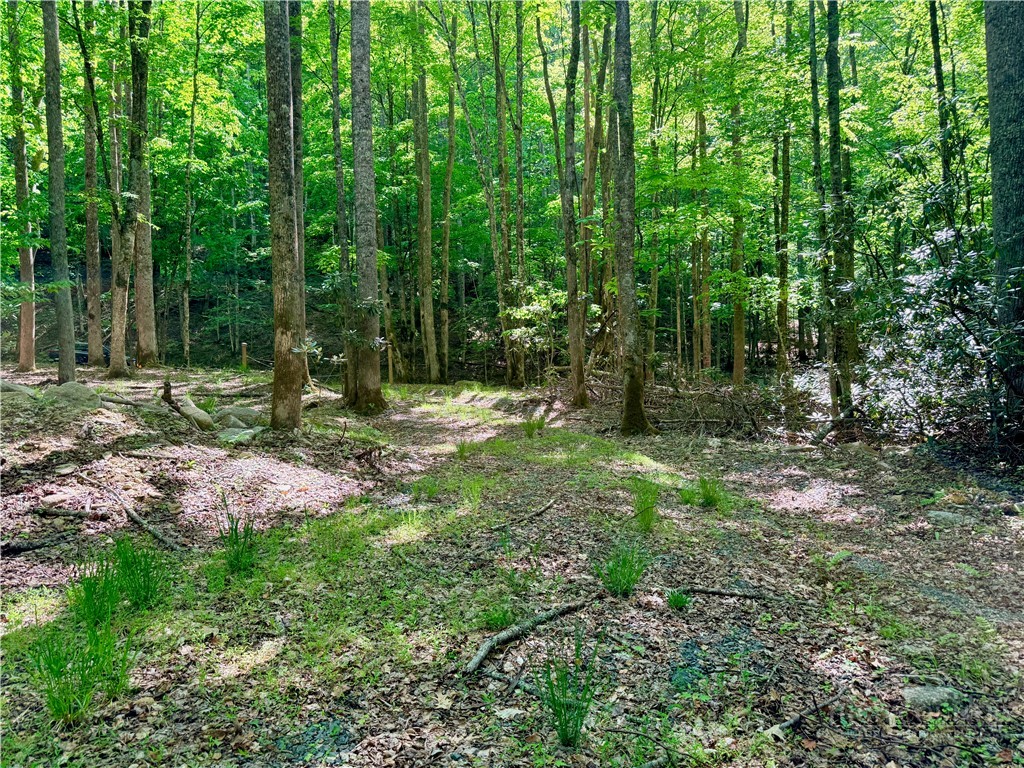 Lot 5A Buckeye Ridge Road Property Photo 1