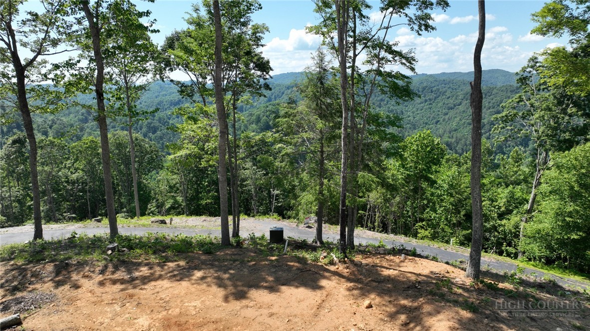 Lot 6 Pinnacle View Property Photo 8