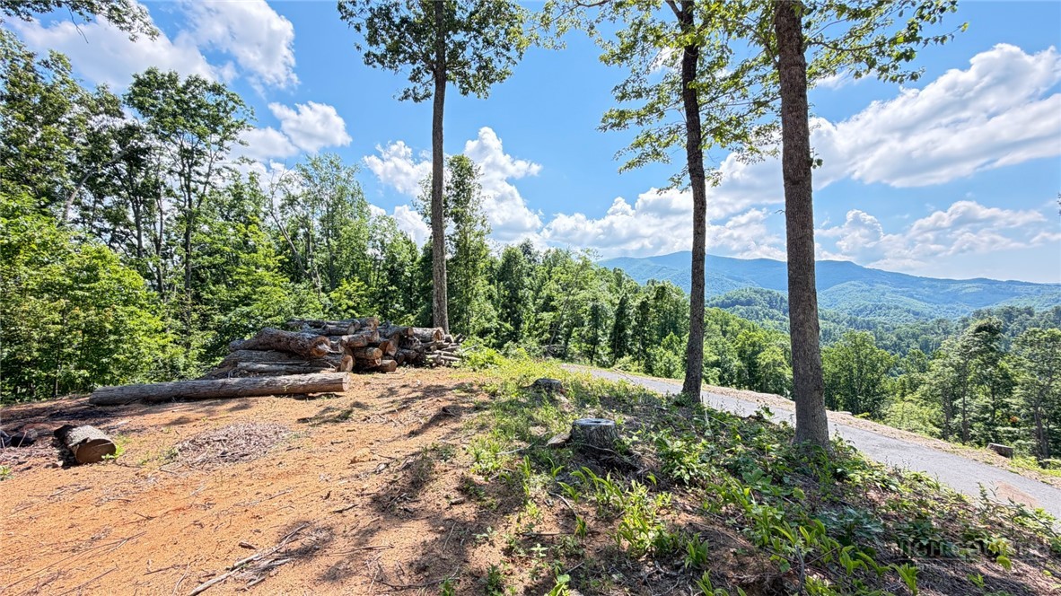 Lot 6 Pinnacle View Property Photo 9