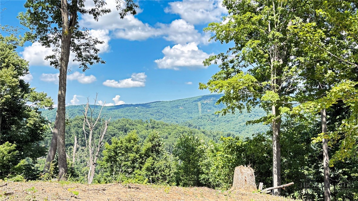 Lot 6 Pinnacle View Property Photo 15