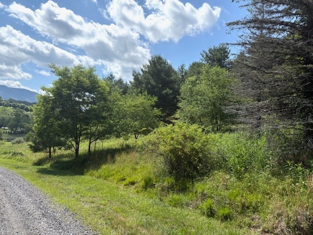 TBD Park View Drive Property Photo 1