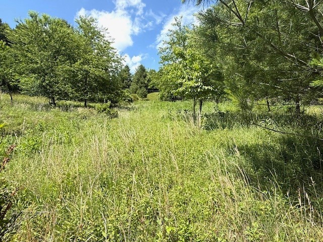 Tbd Park View Drive Property Photo 2