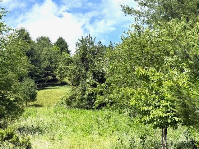 Tbd Park View Drive Property Photo 3