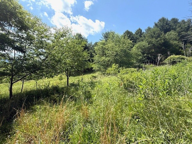 Tbd Park View Drive Property Photo 4