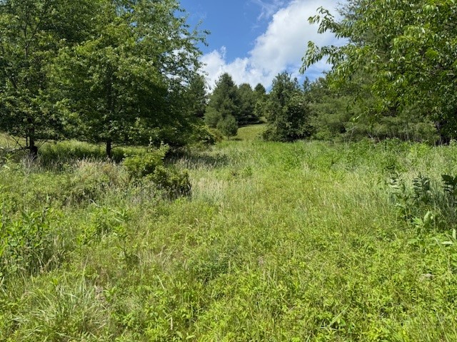 Tbd Park View Drive Property Photo 5