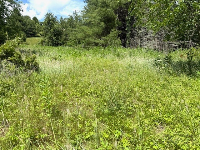 Tbd Park View Drive Property Photo 6