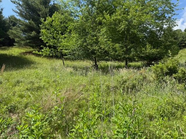 Tbd Park View Drive Property Photo 7