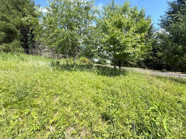 Tbd Park View Drive Property Photo 8