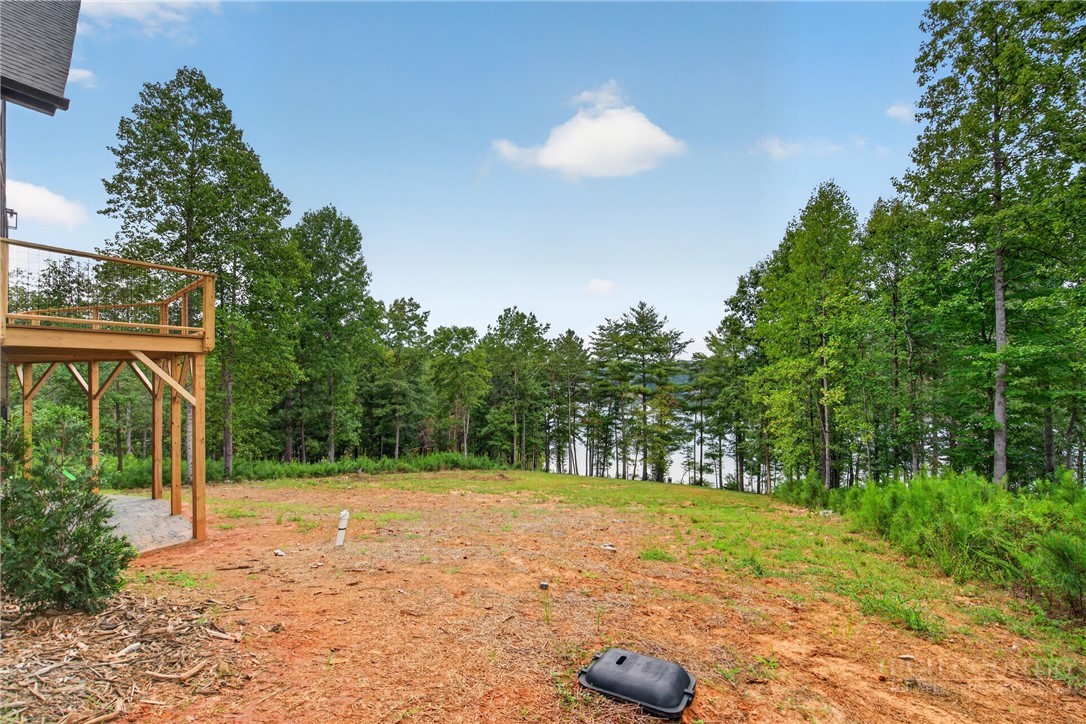 2199 Castle Peak Mountain Property Photo 47