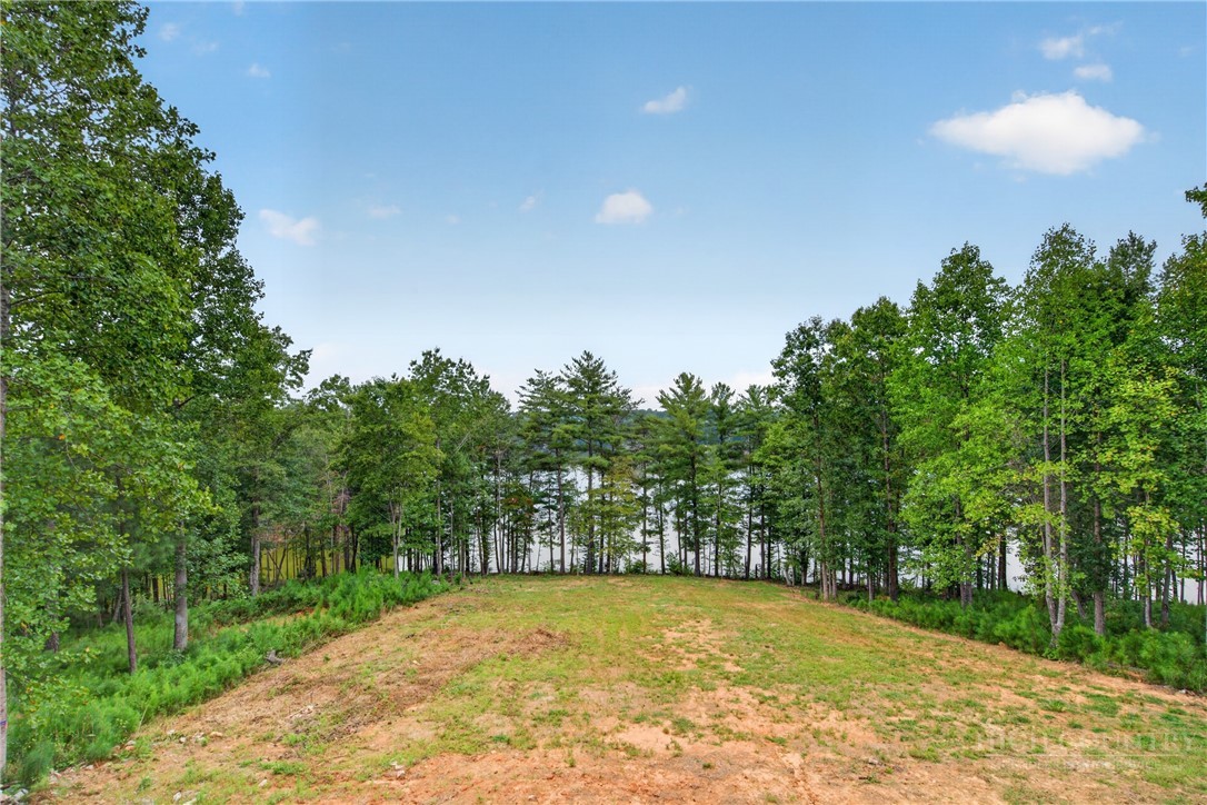 2199 Castle Peak Mountain Property Photo 48