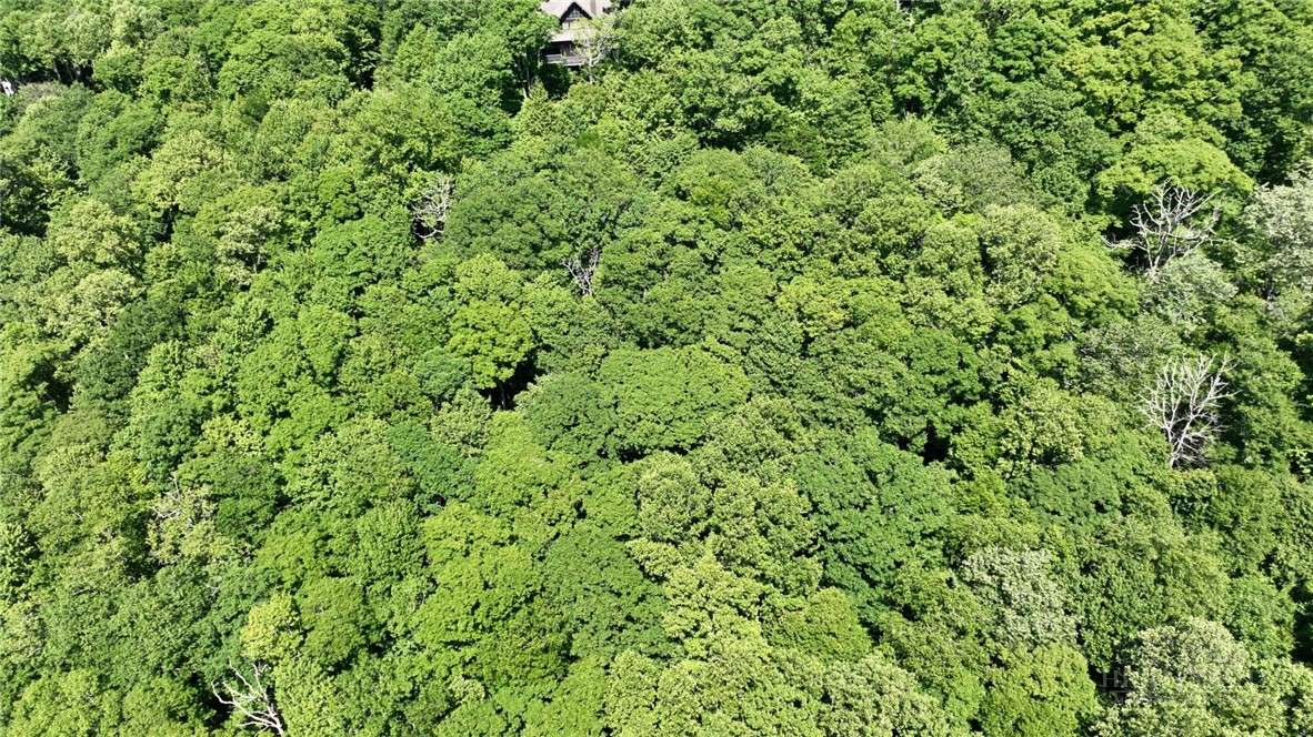 Tbd Newbiggin Property Photo 33