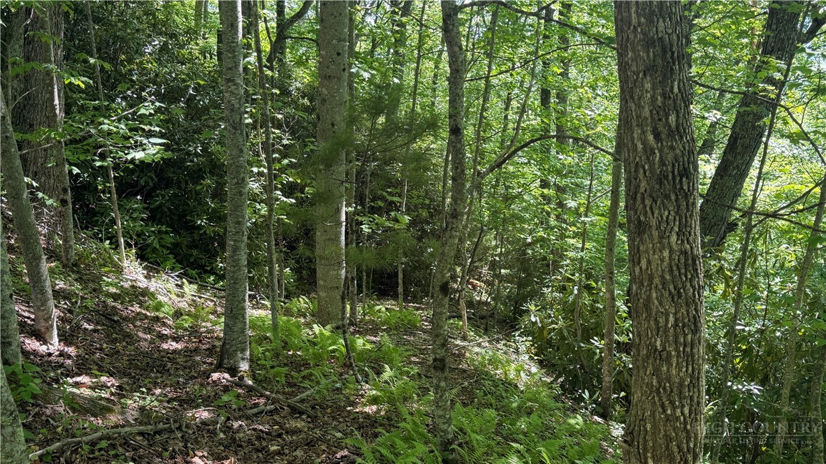 Tbd Newbiggin Property Photo 41