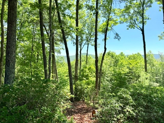 Lot 48 & 49 Davis Acres