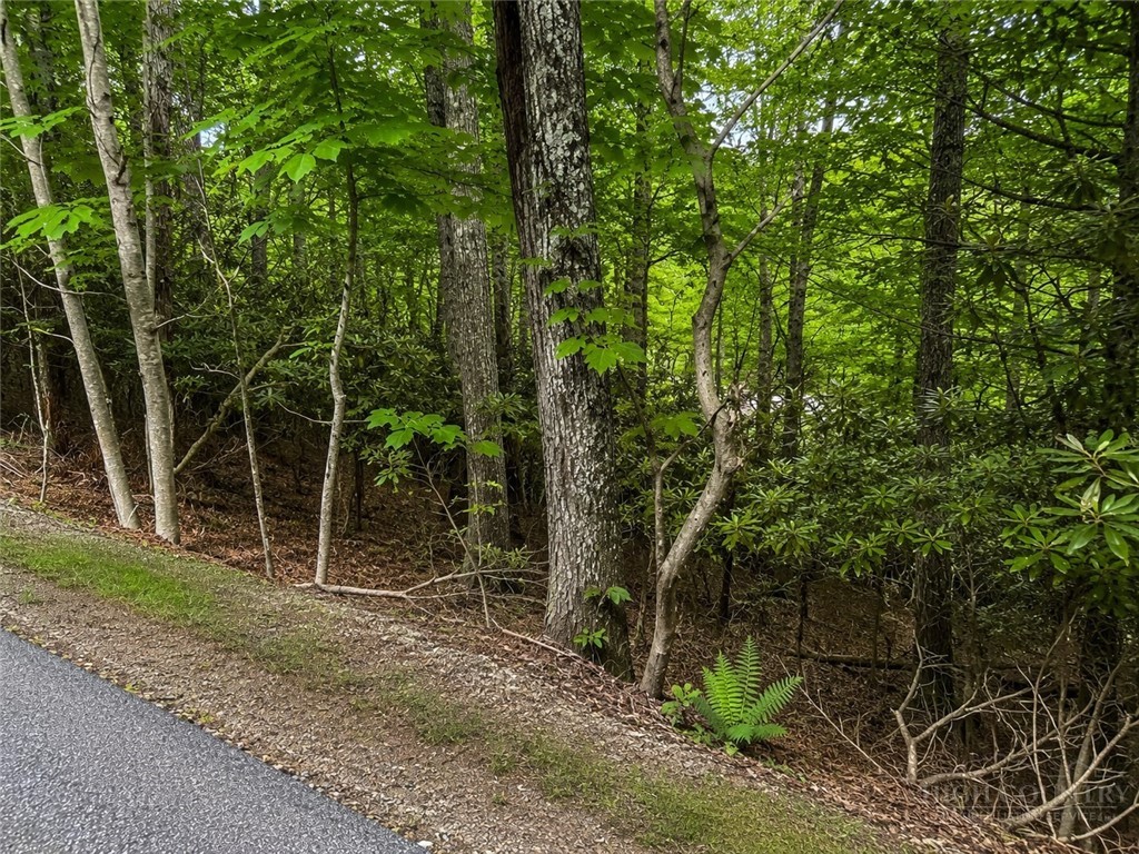 Tbd Walnut Road Property Photo 3