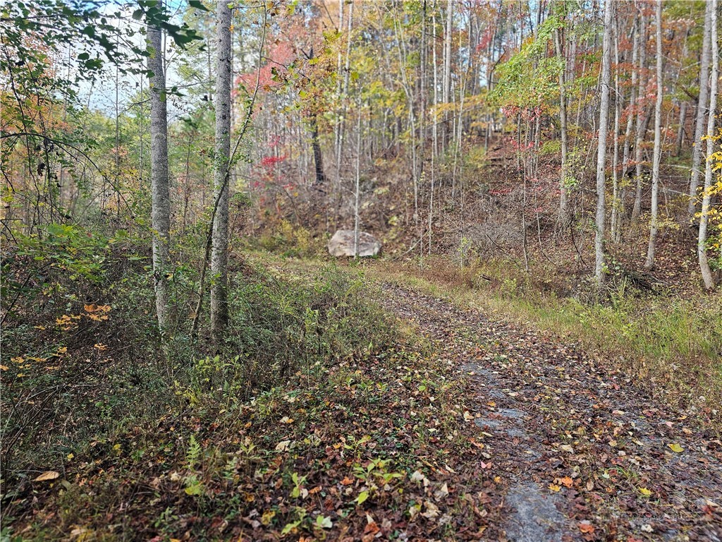 Lot 63 Bent Bow Drive Property Photo 4