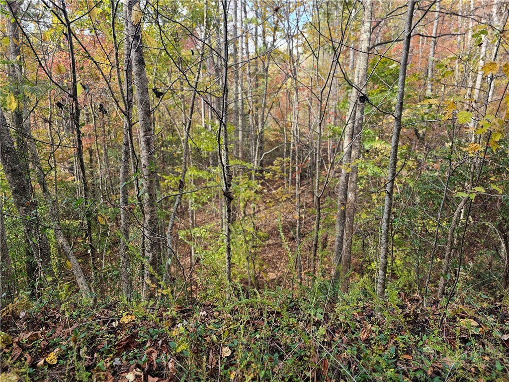 Lot 63 Bent Bow Drive Property Photo 5