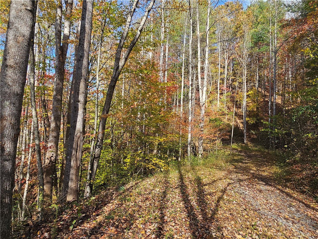 Lot 63 Bent Bow Drive Property Photo 6