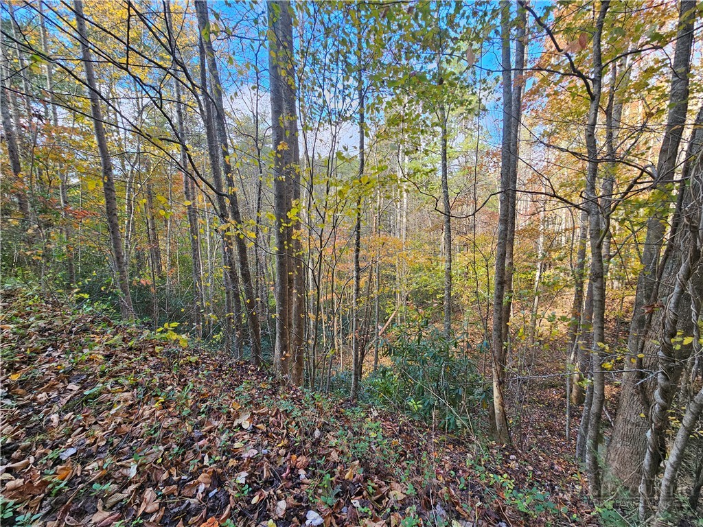 Lot 63 Bent Bow Drive Property Photo 7